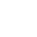 team (1)