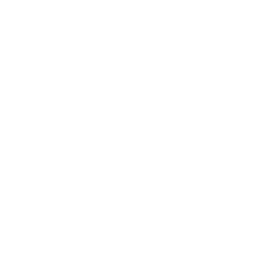 website audit